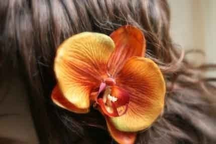 Georgia Peach Orchid Hair Clip Fascinator