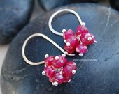 Twinkle Earrings - Ruby and Sterling Silver