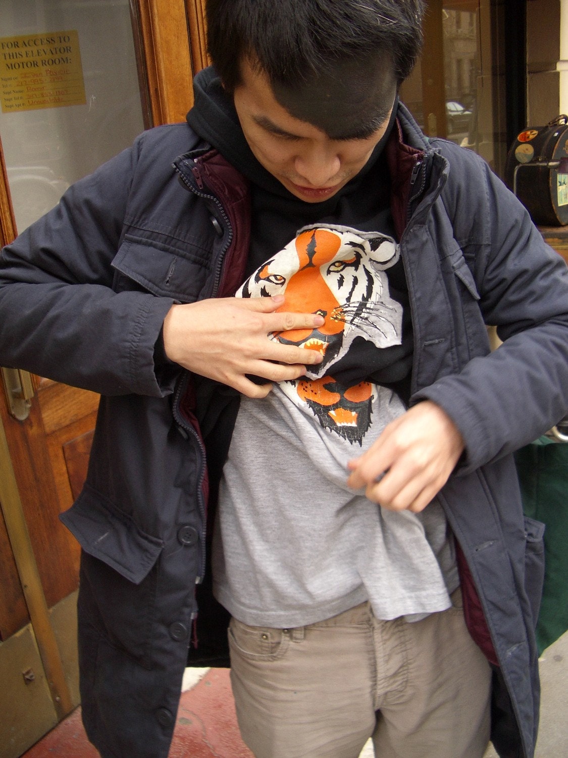 Tiger Hoodie Sweatshirt