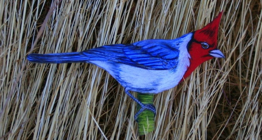 Blue Cardinal brooch/pin