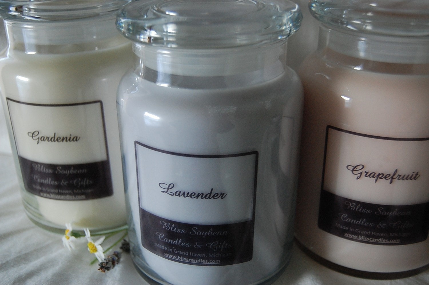 TWO - Bliss Soy Premium 26 oz Jar Candles - YOUR CHOICE