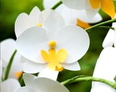 phalaenopsis (moth) orchid spray - large, cardstock - handmade paper flowers for gift, wedding, or home decor