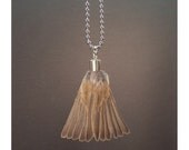 SPARROW TAIL CHOKER real taxidermy bird feather necklace inspired by antique European Black Forest hunting relics