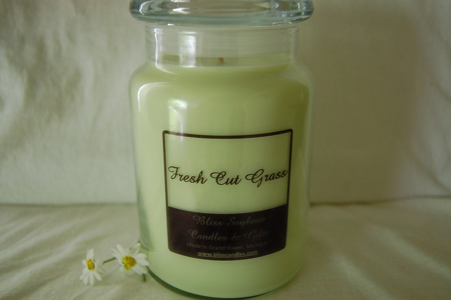 FRESH CUT GRASS - Bliss Soy Premium 26 oz Jar Candle with Glass Lid