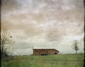 Barn Photograph, weathered rustic country winter crow tree cloudy 8x8 print  - Rural