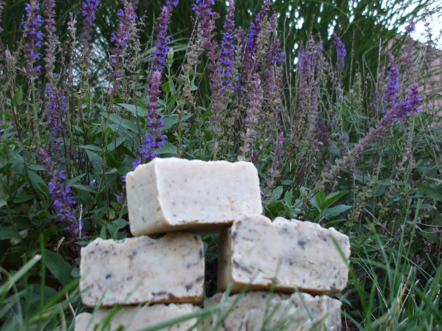 Soap - DARCY LYNN LAVENDER - Handmade from Scratch with Goats Milk, Organic Oils & Shea Butter