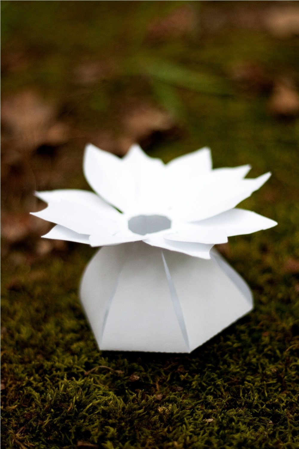 DIY POINSETTIA paper flower wedding favor box - COMPLETE kit for 10 boxes