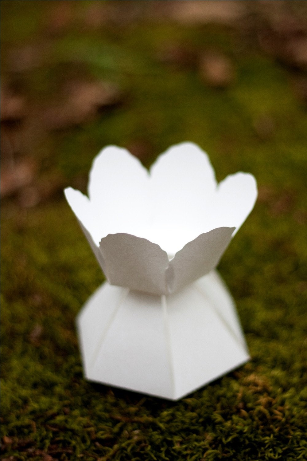 DIY - make your own paper flower wedding favor box - COMPLETE kit for 10 tulip boxes