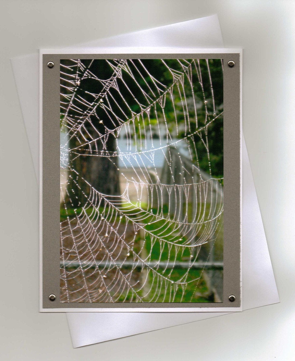 Outdoor Spider Web Scene with Tree Handmade Greeting Card