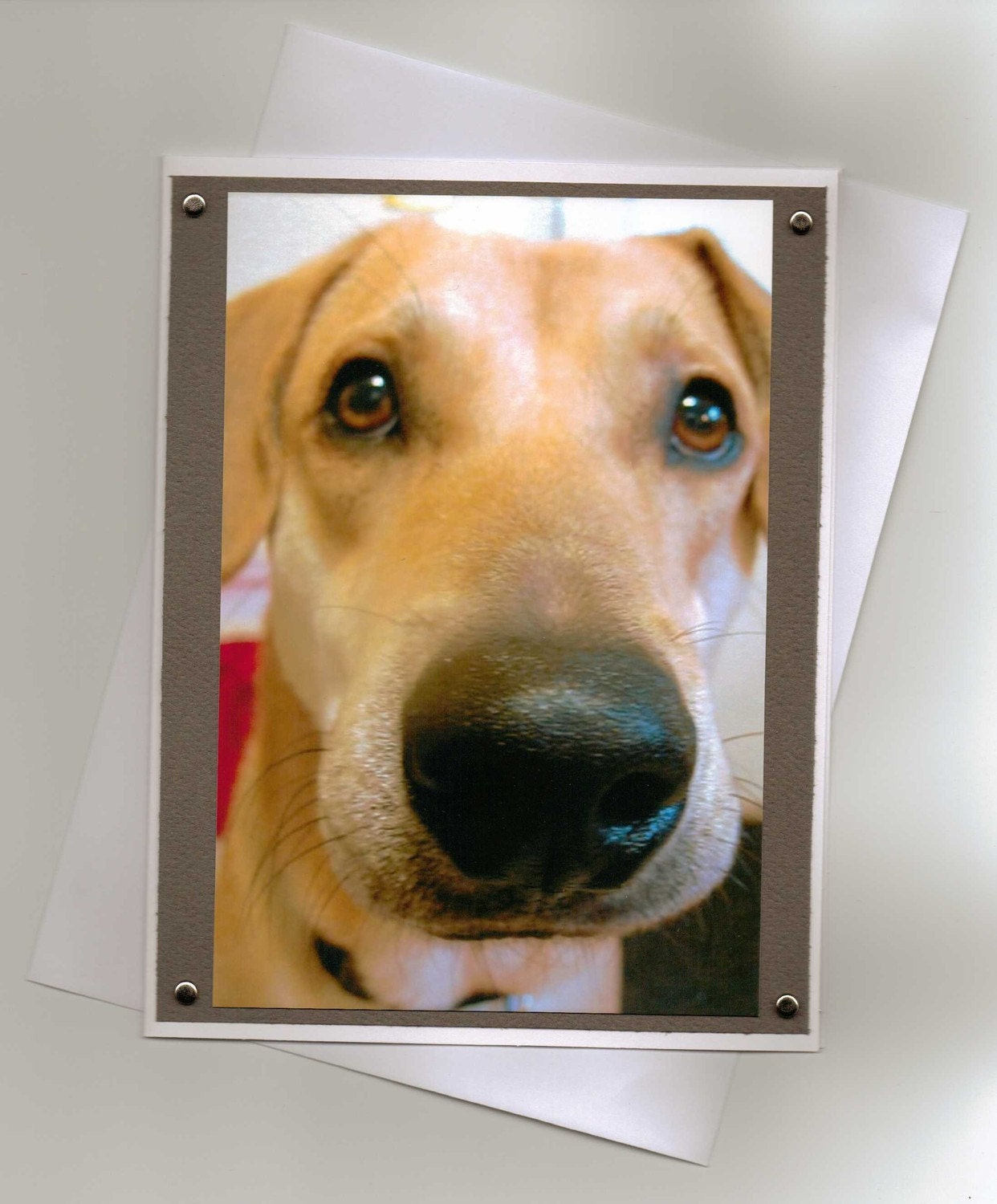 Husky Lab Mix Dog Handmade Greeting Card for Dog Lovers