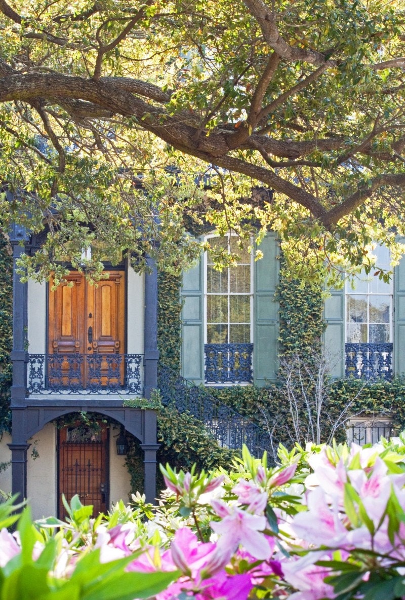 Ironwork and Azaleas - Savannah, GA - An Original Photo by Melissa Schneider