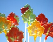 Maple Leaf Candy Lollipops Beautiful Fall colors Il_170x135