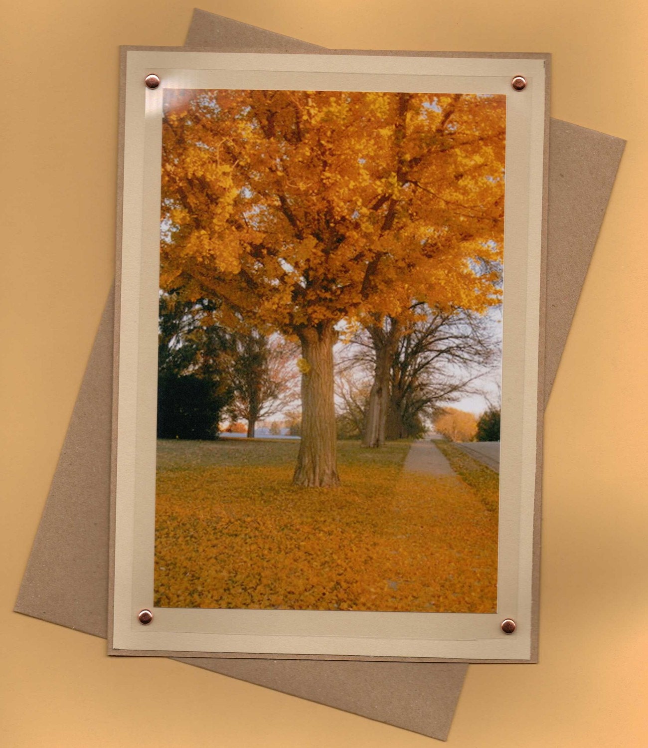 Handmade Outdoor Autumn Tree Image Greeting Card