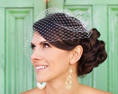 modern classic birdcage veil