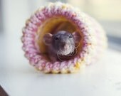small rat hamster gerbil bed