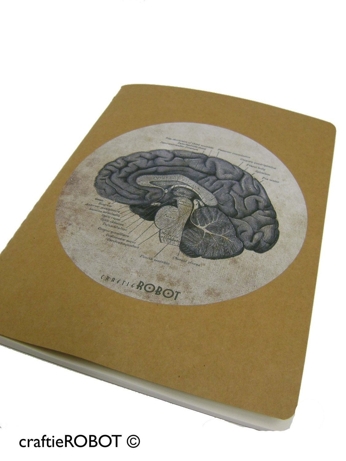 vintage human anatomy - the brain - plain MOLESKINE JOURNAL