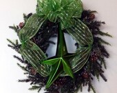 Holiday Wreath Shooting Star Frosted Evergreen