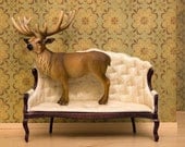 deer print, woodland earth tone, shabby chic, deer antlers - Barely Domestic 8 x 10