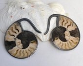 Fantastic-better than a hoop- ammonite earrings