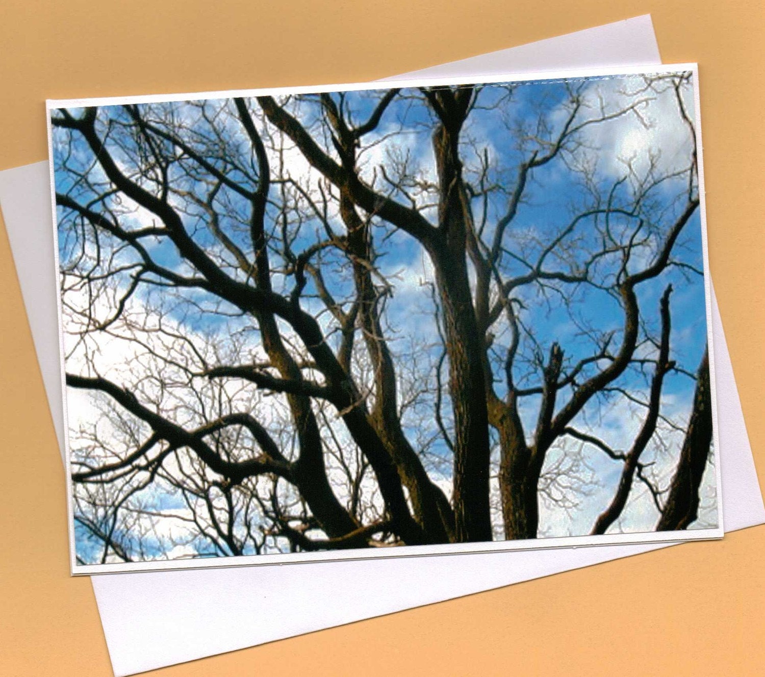 Handmade Greeting Card With Outdoor Scene with the Trees and Clouds