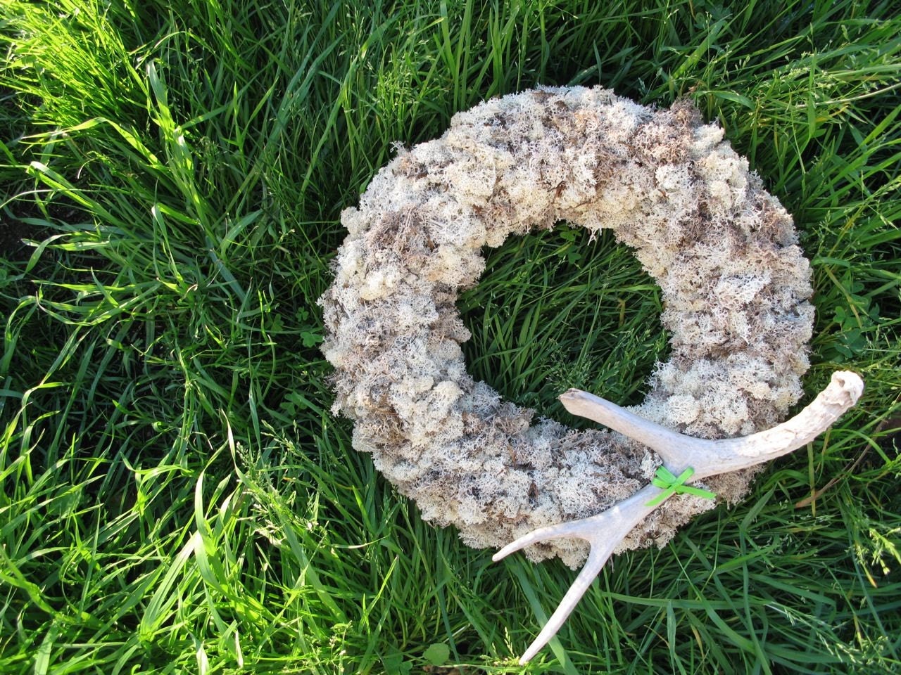 the rudolph wreath