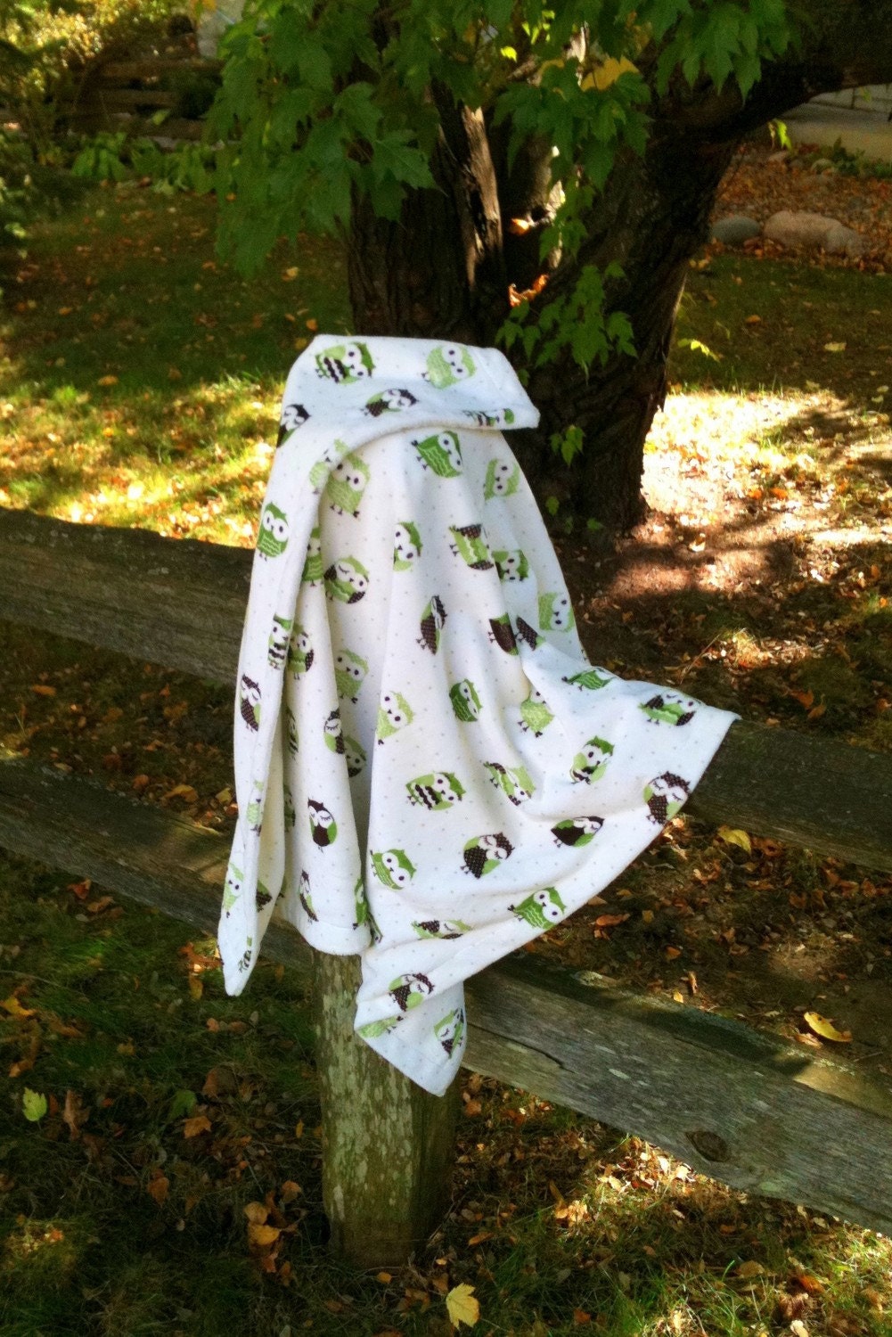 Minky baby or toddler blanket, sage green and chocolate brown owls
