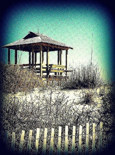 PHOTOGRAPH NEW YORK  5 X 7 Print "Beach in Winter"
