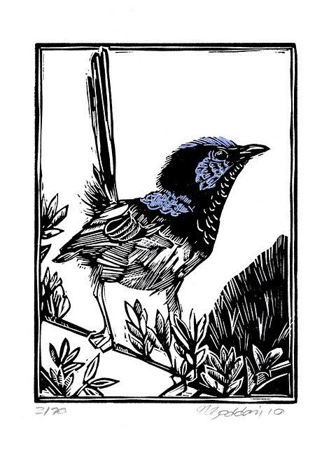 Australian Native blue wren handcoloured linocut print