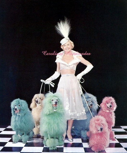 Colorful Poodles Doris Day Reproduction Cotton Fabric Print 4X5" Applique