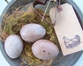 SALE Rustic Farmhouse Gray Eggs Nest Pie Tin by sweetlibertyprims on etsy