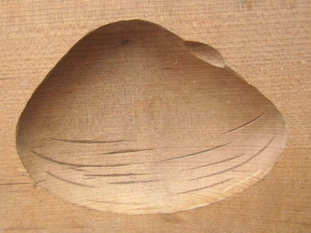 Vintage Japanese Kashigata Sweets Mold Seashell A