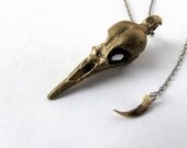 large hummingbird skull drop skunk claw necklace
