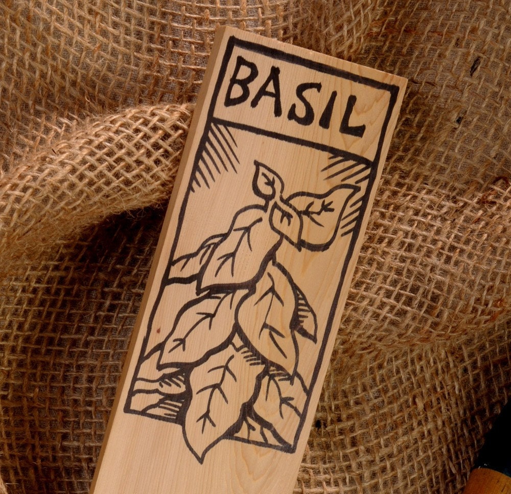 Hand-DRAWN Garden Marker for Basil