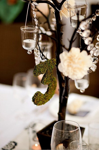 CUSTOM LISTING: 17 moss table numbers