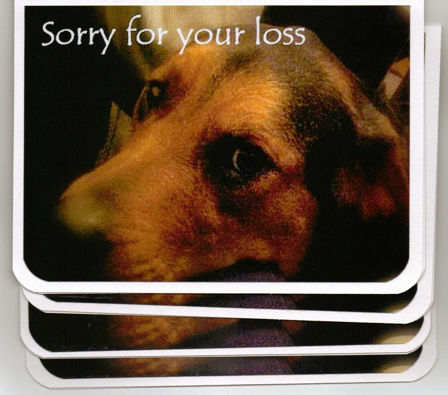 Sympathy Dog Handmade Greeting Card-Sorry for your loss-Set of 4 Shepherd Mix