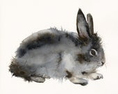 Roughian - Rabbit Art