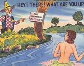 HEY THERE  What Are You Up To....Unused Vintage Postcard
