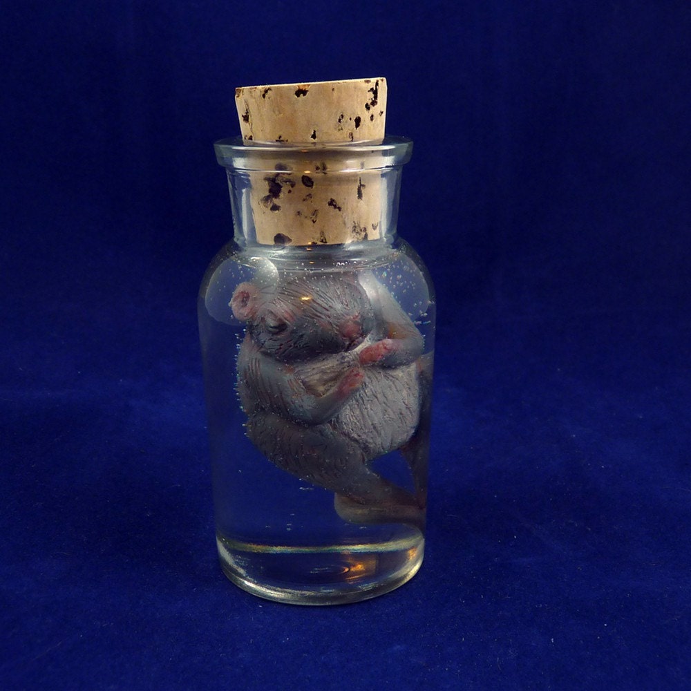 Mouse Specimen Jar - One of a Kind Mixed Media Rodent Sculpture