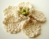 Crochet Cream Flower Pattern PDF