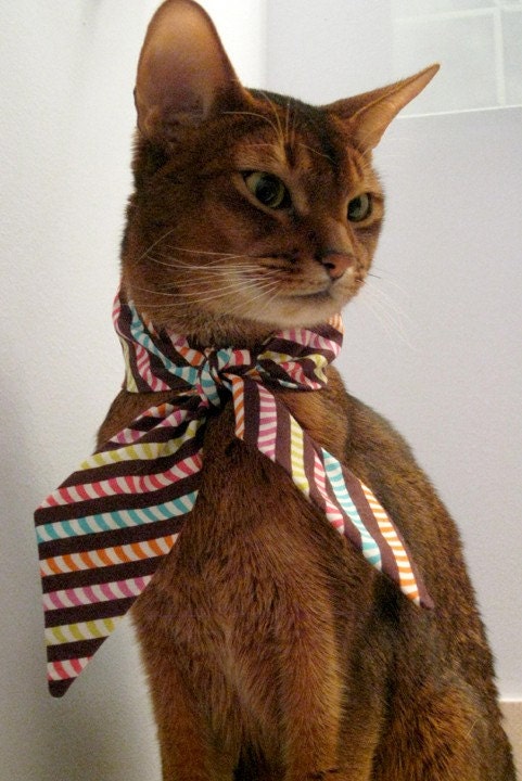multicolor striped neck scarf