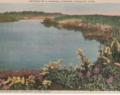 A Nantucket Idyl, Nantucket postcard. Gardiner Nantuckrome