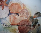 Jersey Shore Seashells- Reproduction of Watercolor Painting