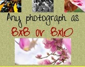 Any image as a 8x8 or 8x10 print. Free domestic shipping.