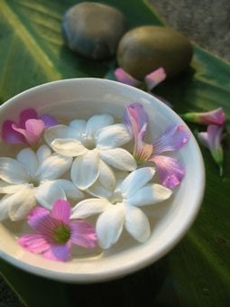 JASMINE 1oz Fragrance Oil Concentrate, fresh, high quality