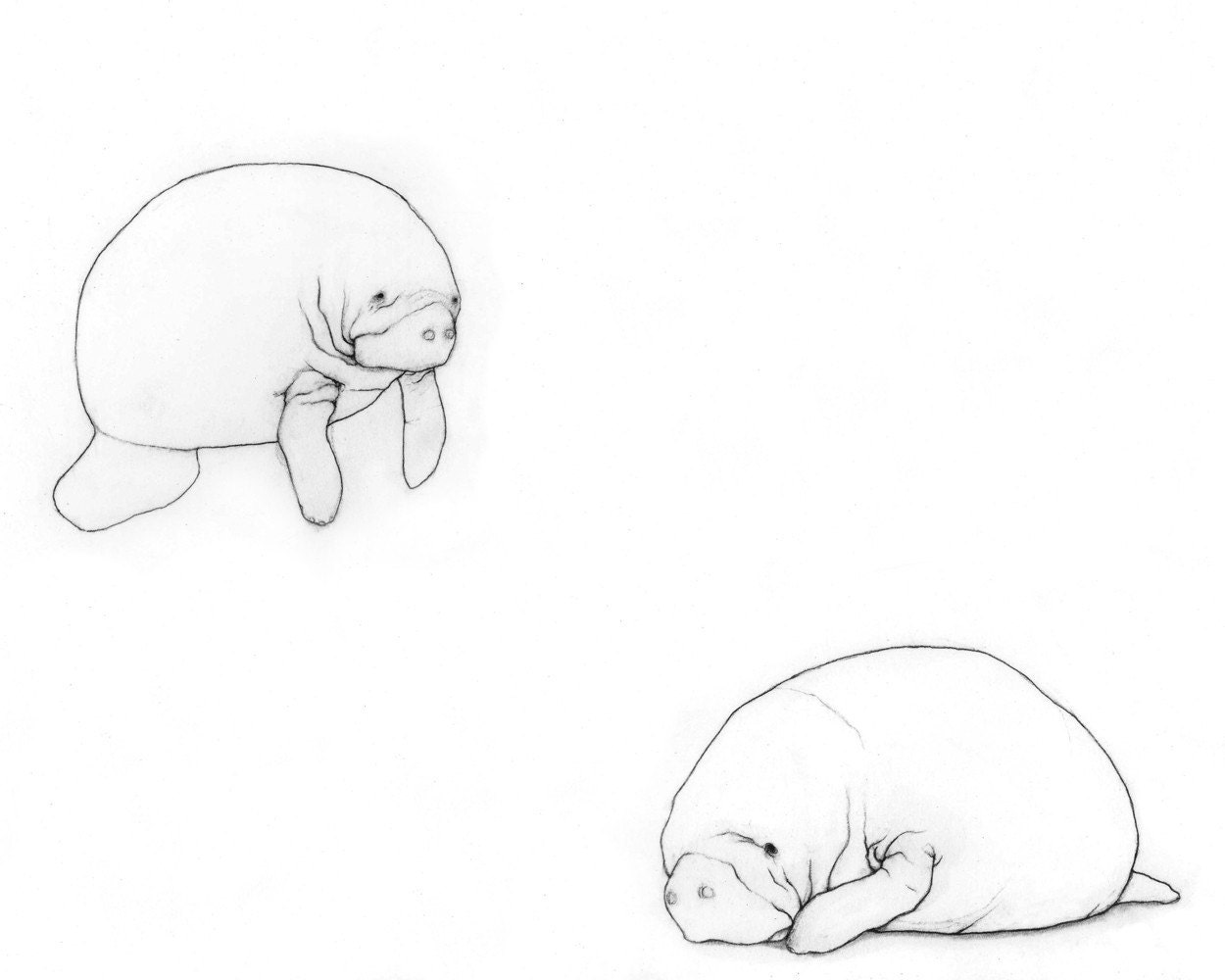 Depressed - Original Framed Drawing