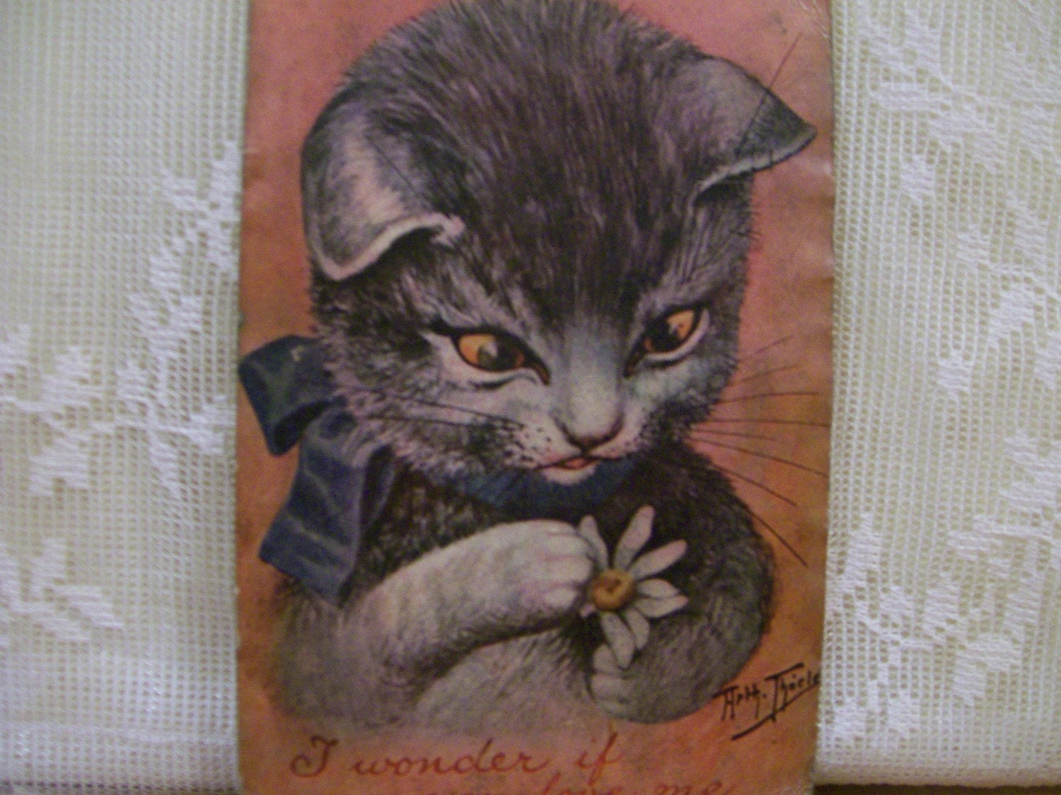 Cute Tiger Kitty - He Loves Me - artist signed - Arthur Thiele - Vintage Postcard - 1910