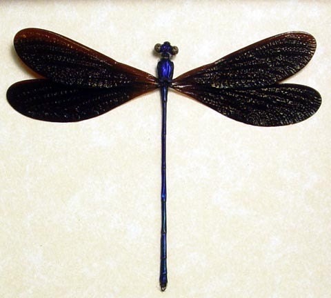 Real Framed Metallic Purple Damselfly Dragonfly 7955