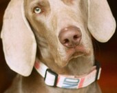 Totally Green Dog Collar, LARGE