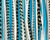 Turquoise Mix 6 Feather Bundle With 2 Micro Links
