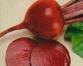 Beetroot Detroit Dark Red 500 seeds/5 grams